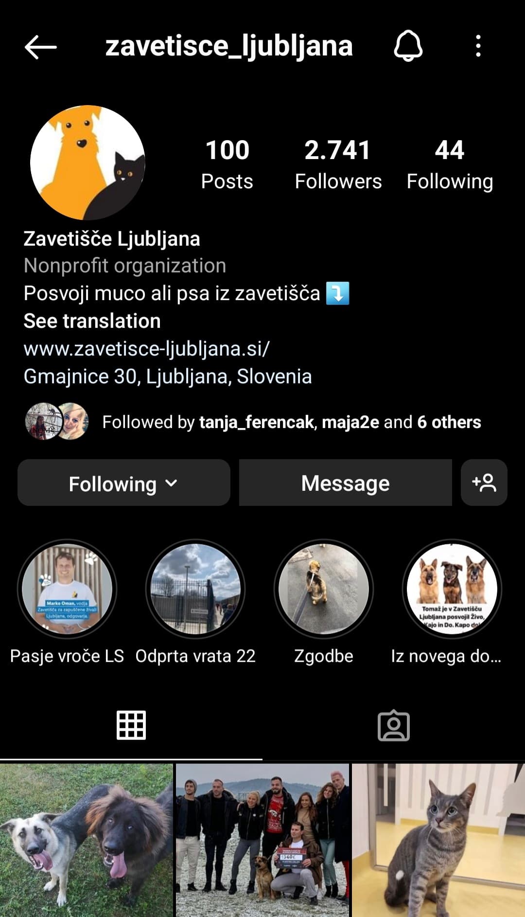 Zavetišče prvič obeleži svetovni dan psov in hkrati vzpostavi Instagram profil Zavetišča